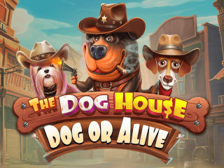 The Dog House - Dog or Alive